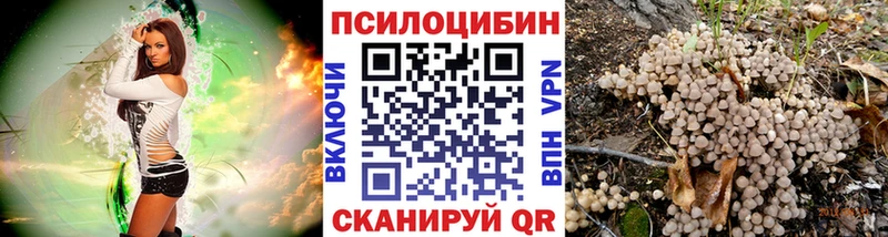 Галлюциногенные грибы GOLDEN TEACHER  дарнет шоп  Фёдоровский 